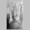 ASF-P-00158 Grand Stalictites.jpg